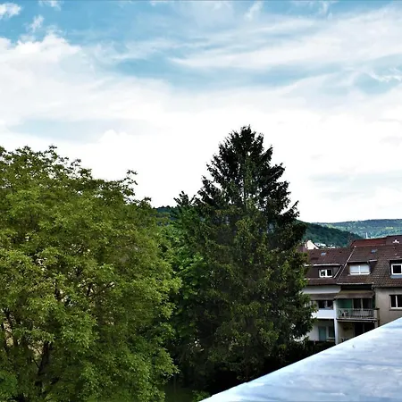 Heiligenbergblick Heidelberg