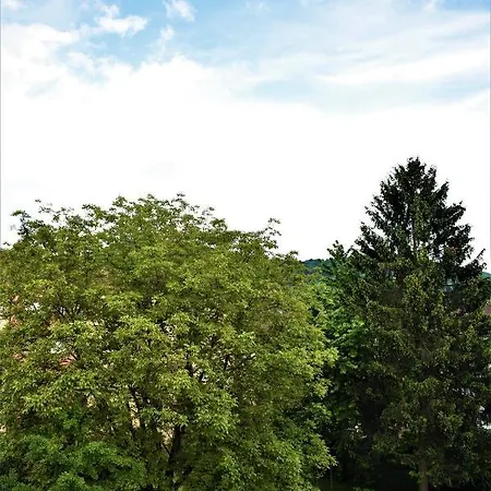 Heiligenbergblick